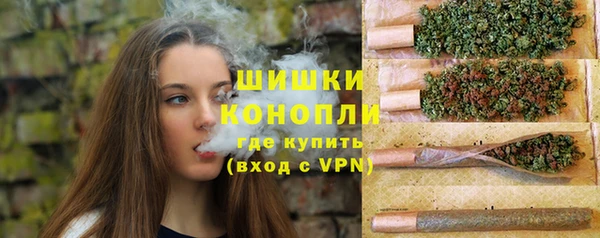 хмурый Щучье