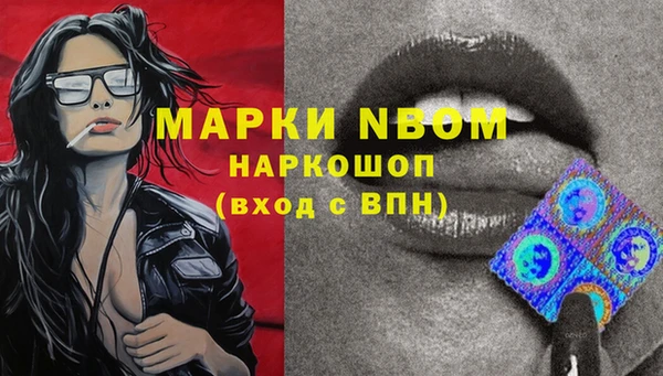 прущий лед Корсаков