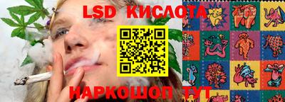 гидра Новокубанск