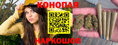 гидра Новокубанск