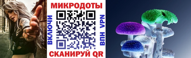 Псилоцибиновые грибы Psilocybe  Шадринск 